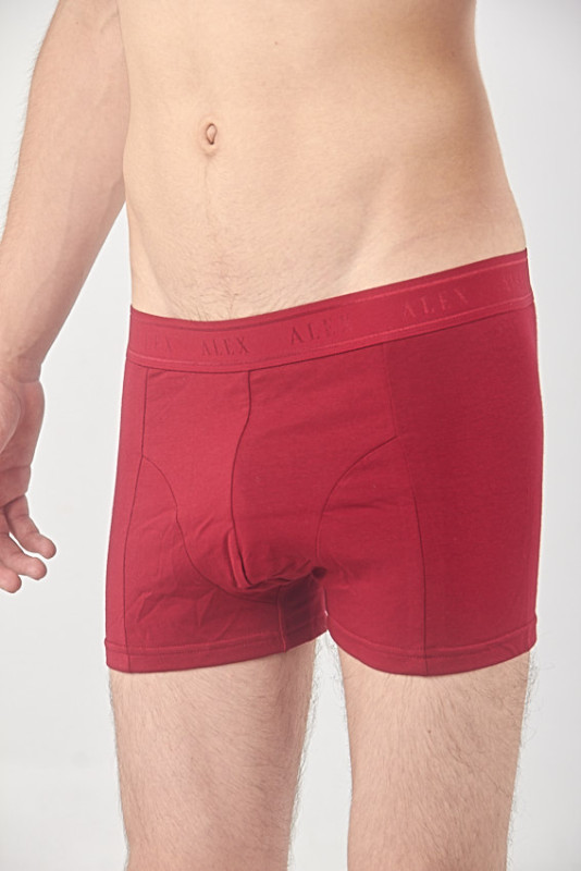 Alex Mens Hypoallergenic Tag-Free Cotton Underwear Briefs Set of 3